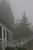 Owl's Head Light - I